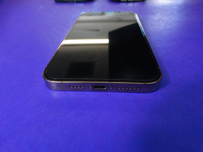 iPhone 13 Pro Max – 256GB Unlocked (White, 100% Battery Health) - WeBuyElectronic