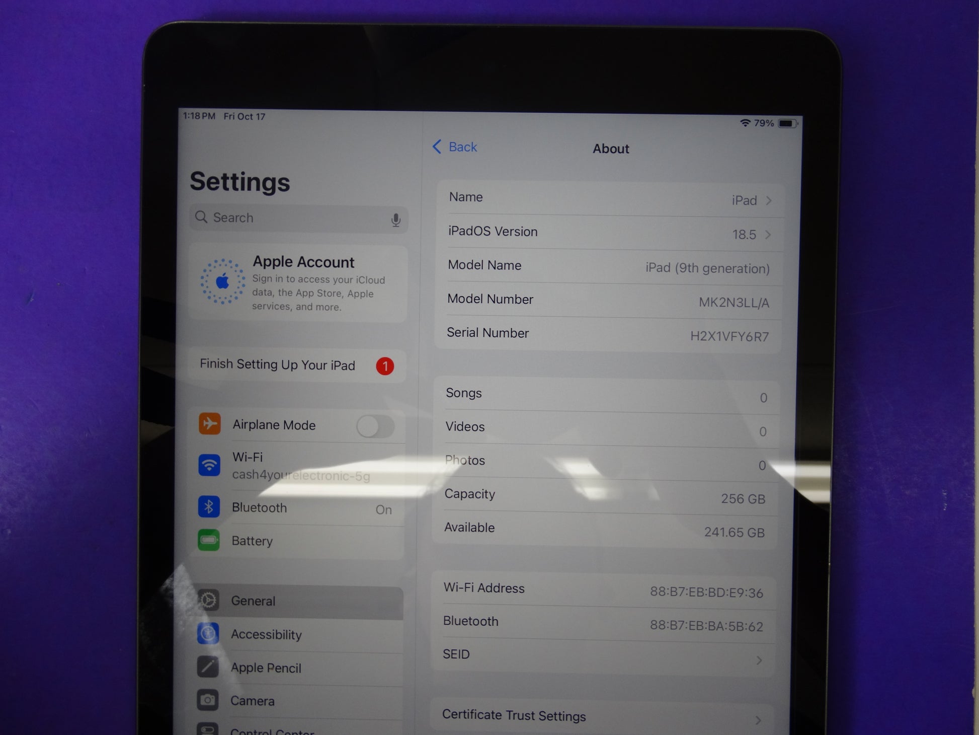 Apple iPad 9th Generation (10.2” Retina, 256GB, Wi-Fi, MK2N3LL/A) - WeBuyElectronic